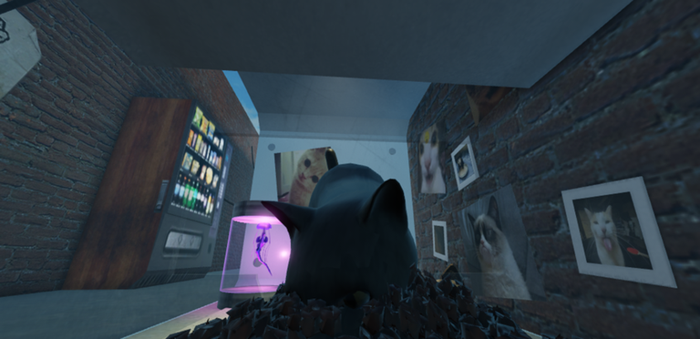 Meow Camera screenshot