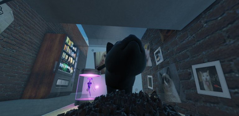 Meow Camera screenshot