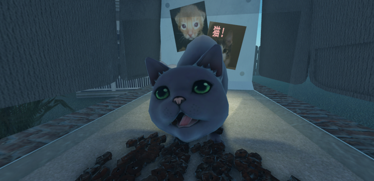 Meow Camera screenshot