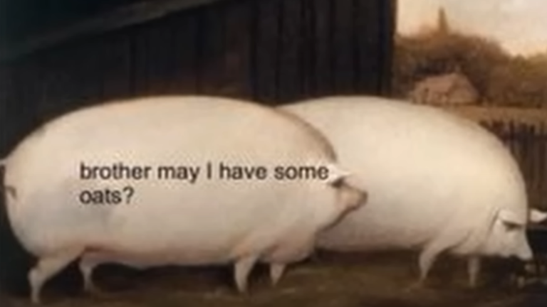 Brother, may I have some oats..? screenshot