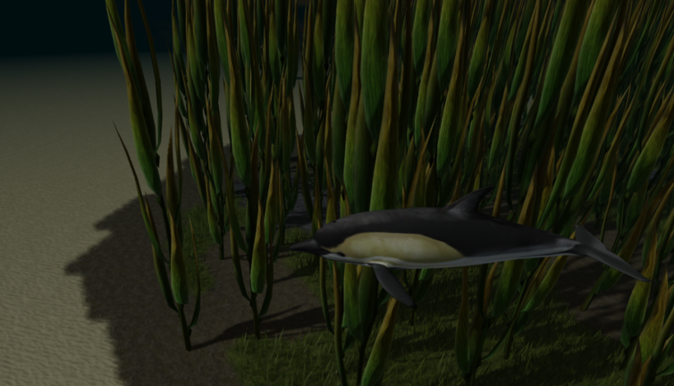 🐬Be a dolphin!🐬 (1 year!) screenshot