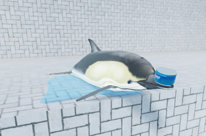 🐬Be a dolphin!🐬 (1 year!) screenshot