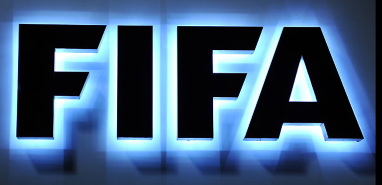 Fifa 25 (i tried) screenshot