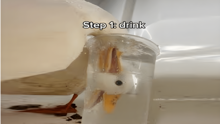 Sell Water to RULE THE WORLD 💧🌎 screenshot