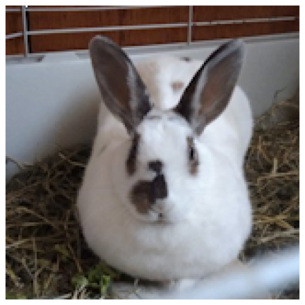 Other Slungus Village screenshot