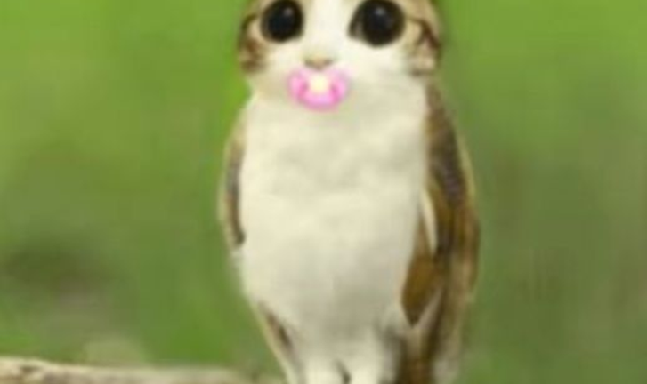 JOKESAKEN REWORK INDEV screenshot