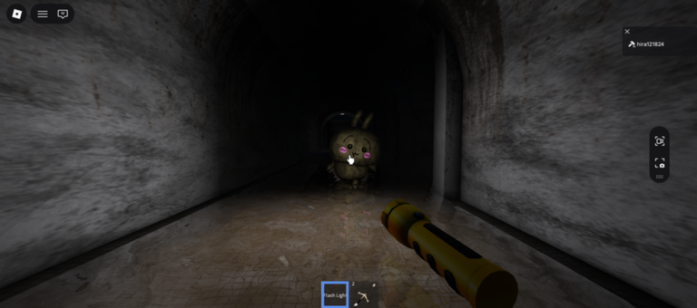 (part 1 beta) chiikawaland screenshot