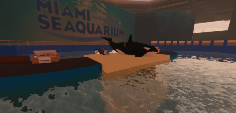 Miami Seaquarium: Killer Whale and Dolphin Show screenshot
